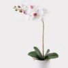 Artificial Flower 30*13*46cm Orchid in PP pot GS-03325042 2025JUL YeahFlower is one of Chinese leading OEM manufacturers and exporters , supplying the silk flowers, wholesale artificial trees