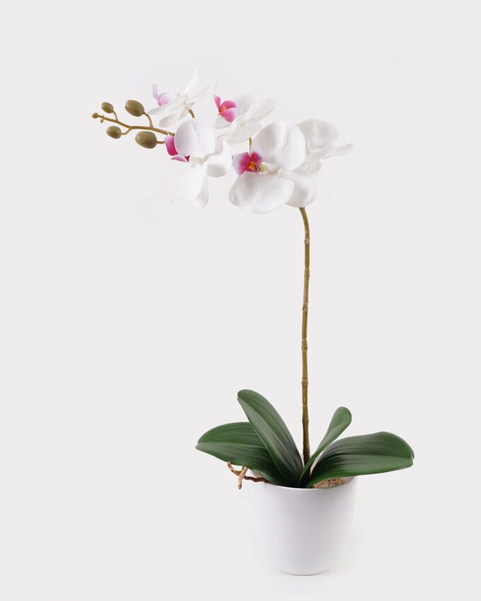 Artificial Flower 30*13*46cm Orchid in PP pot GS-03325042 2025JUL YeahFlower is one of Chinese leading OEM manufacturers and exporters , supplying the silk flowers, wholesale artificial trees
