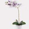 Artificial Flower 30*13*46cm Orchid in PP pot GS-03325042 2025JUL YeahFlower is one of Chinese leading OEM manufacturers and exporters , supplying the silk flowers, wholesale artificial trees