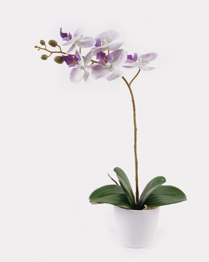 Artificial Flower 30*13*46cm Orchid in PP pot GS-03325042 2025JUL YeahFlower is one of Chinese leading OEM manufacturers and exporters , supplying the silk flowers, wholesale artificial trees