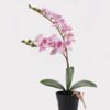 Artificial Flower 30*11*40cm Orchid in PP pot GS-03325045-P2 2025JUL YeahFlower is one of Chinese leading OEM manufacturers and exporters , supplying the silk flowers, wholesale artificial trees