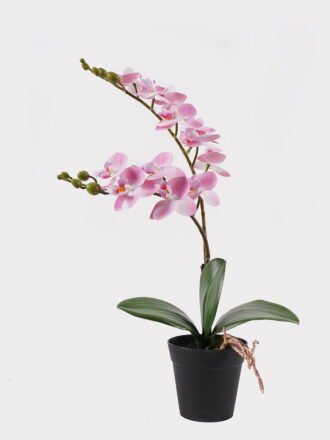 Artificial Flower 30*11*40cm Orchid in PP pot GS-03325045-P3 2025JUL 3,000+ sqm showroom with thousands of artificial flowers, plants & trees ready for global sourcing.