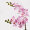 Artificial Flower 30*11*40cm Orchid in PP pot GS-03325045-P2 2025JUL YeahFlower is one of Chinese leading OEM manufacturers and exporters , supplying the silk flowers, wholesale artificial trees