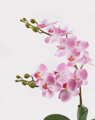 Artificial Flower 30*11*40cm Orchid in PP pot GS-03325045-P2 2025JUL YeahFlower is one of Chinese leading OEM manufacturers and exporters , supplying the silk flowers, wholesale artificial trees