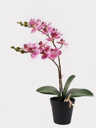 Artificial Flower 30*11*40cm Orchid in PP pot GS-03325045-P2 2025JUL 3,000+ sqm showroom with thousands of artificial flowers, plants & trees ready for global sourcing.