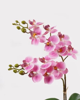 Artificial Flower 30*11*40cm Orchid in PP pot GS-03325045-P3 2025JUL YeahFlower is one of Chinese leading OEM manufacturers and exporters , supplying the silk flowers, wholesale artificial trees