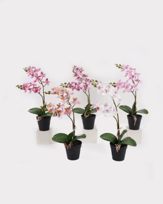 Artificial Flower 30*11*40cm Orchid in PP pot GS-03325045 2025JUL YeahFlower is one of Chinese leading OEM manufacturers and exporters , supplying the silk flowers, wholesale artificial trees