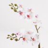 Artificial Flower 30*11*40cm Orchid in PP pot GS-03325045 2025JUL YeahFlower is one of Chinese leading OEM manufacturers and exporters , supplying the silk flowers, wholesale artificial trees