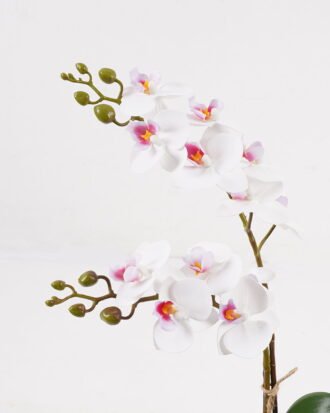 Artificial Flower 30*11*40cm Orchid in PP pot GS-03325045 2025JUL YeahFlower is one of Chinese leading OEM manufacturers and exporters , supplying the silk flowers, wholesale artificial trees