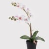 Artificial Flower 30*11*40cm Orchid in PP pot GS-03325045 2025JUL YeahFlower is one of Chinese leading OEM manufacturers and exporters , supplying the silk flowers, wholesale artificial trees