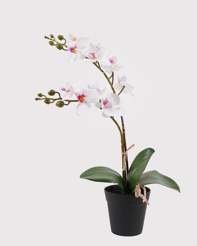 Artificial Flower 30*11*40cm Orchid in PP pot GS-03325045 2025JUL YeahFlower is one of Chinese leading OEM manufacturers and exporters , supplying the silk flowers, wholesale artificial trees