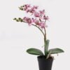 Artificial Flower 30*11*40cm Orchid in PP pot GS-03325045 2025JUL YeahFlower is one of Chinese leading OEM manufacturers and exporters , supplying the silk flowers, wholesale artificial trees