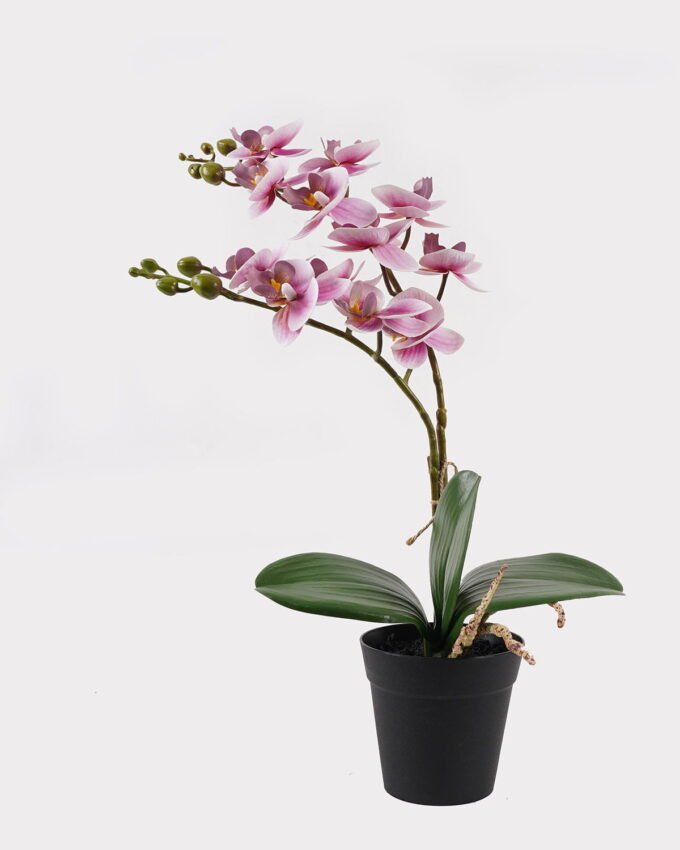 Artificial Flower 30*11*40cm Orchid in PP pot GS-03325045 2025JUL YeahFlower is one of Chinese leading OEM manufacturers and exporters , supplying the silk flowers, wholesale artificial trees