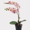 Artificial Flower 30*11*40cm Orchid in PP pot GS-03325045 2025JUL YeahFlower is one of Chinese leading OEM manufacturers and exporters , supplying the silk flowers, wholesale artificial trees