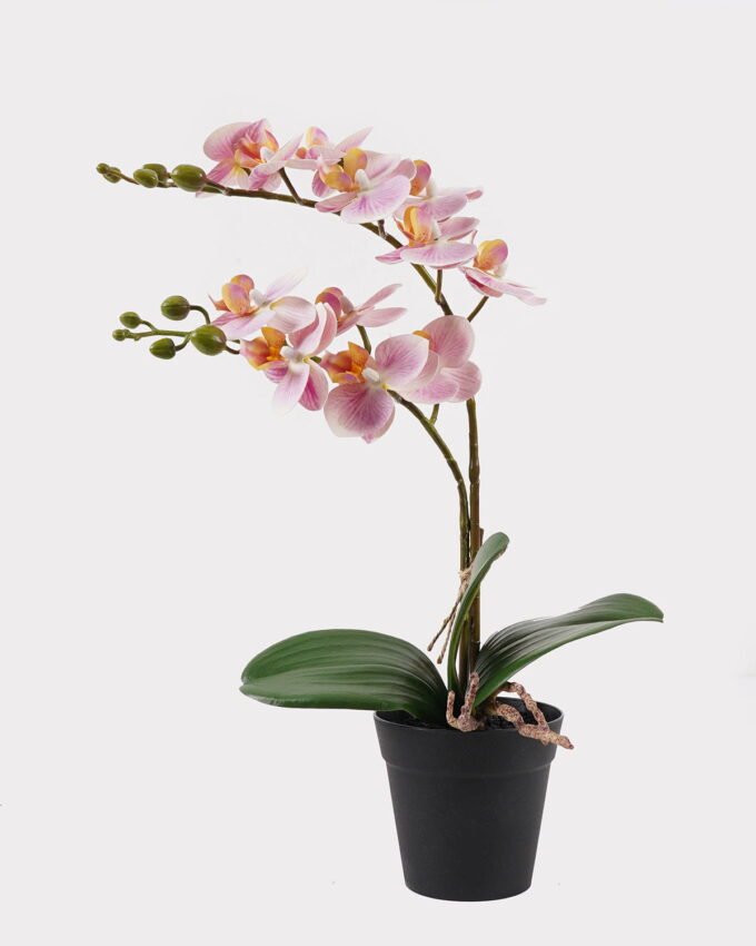 Artificial Flower 30*11*40cm Orchid in PP pot GS-03325045 2025JUL YeahFlower is one of Chinese leading OEM manufacturers and exporters , supplying the silk flowers, wholesale artificial trees