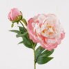 Artificial Flower 20*20*67cm Peony *2 single stem GS-17725032 2025JUL YeahFlower is one of Chinese leading OEM manufacturers and exporters , supplying the silk flowers, wholesale artificial trees