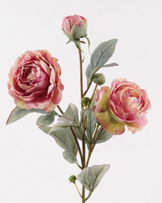 Artificial Flower 18*18*70cm Peony *3 single stem GS-17725027-Z1 2025JUL YeahFlower is one of Chinese leading OEM manufacturers and exporters , supplying the silk flowers, wholesale artificial trees