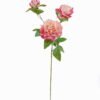 Artificial Flower Peony 3 single stem GS-53925001-R1_5 Artificial Flower 20*20*75cm Peony *3 single stem GS-53925001-R1 2025JUL YeahFlower is one of Chinese leading OEM manufacturers and exporters , supplying the silk flowers, wholesale artificial trees