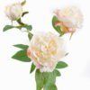 Artificial Flower 20*20*75cm Peony *3 single stem GS-53925001 2025JUL YeahFlower is one of Chinese leading OEM manufacturers and exporters , supplying the silk flowers, wholesale artificial trees