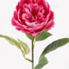 Artificial Flower 20*20*67cm Peony single stem GS-06025002-R1 2025JUL YeahFlower is one of Chinese leading OEM manufacturers and exporters , supplying the silk flowers, wholesale artificial trees
