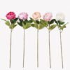 Artificial Flower 20*20*67cm Peony single stem GS-06025002 2025JUL YeahFlower is one of Chinese leading OEM manufacturers and exporters , supplying the silk flowers, wholesale artificial trees