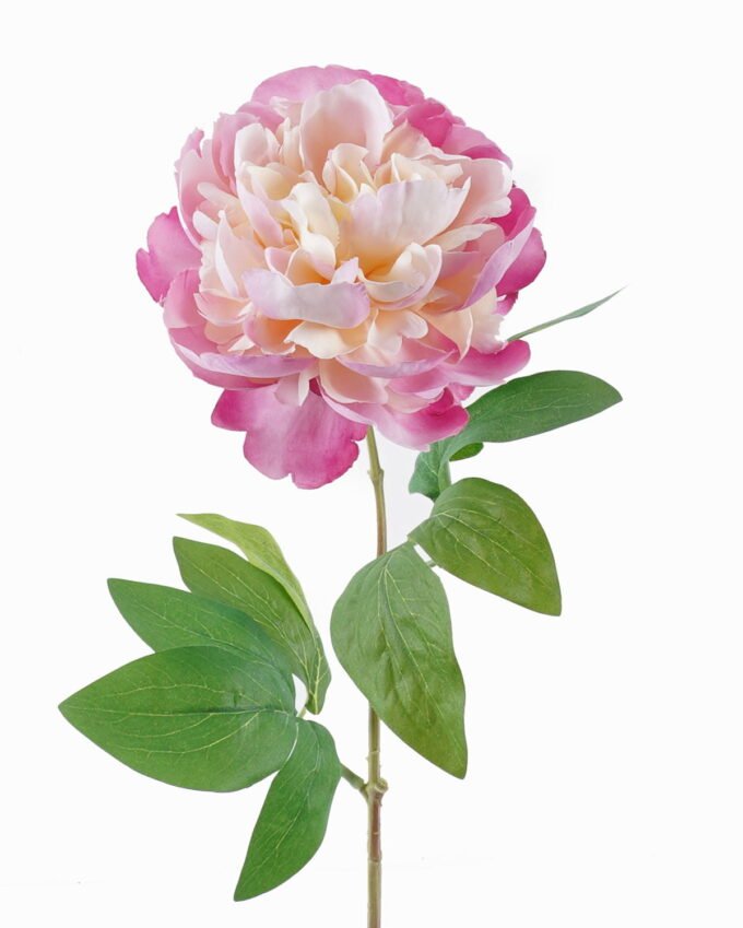 Artificial Flower Peony single stem GS-53925002-P1_4 Artificial Flower 15*15*63cm Peony single stem GS-53925002-P1 2025JUL YeahFlower is one of Chinese leading OEM manufacturers and exporters , supplying the silk flowers, wholesale artificial trees
