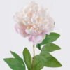 Artificial Flower 15*15*63cm Peony single stem GS-53925002-P2 2025JUL YeahFlower is one of Chinese leading OEM manufacturers and exporters , supplying the silk flowers, wholesale artificial trees