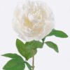 Artificial Flower 15*15*63cm Peony single stem GS-53925002-W1 2025JUL YeahFlower is one of Chinese leading OEM manufacturers and exporters , supplying the silk flowers, wholesale artificial trees