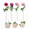 Artificial Flower 15*15*63cm Peony single stem GS-53925002 2025JUL YeahFlower is one of Chinese leading OEM manufacturers and exporters , supplying the silk flowers, wholesale artificial trees
