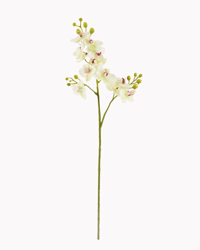 Artificial Flower 16*16*73cm Phalaenopsis aphrodite *3 single stem GS-79825005 2025SEP YeahFlower is one of Chinese leading OEM manufacturers and exporters , supplying the silk flowers, wholesale artificial trees