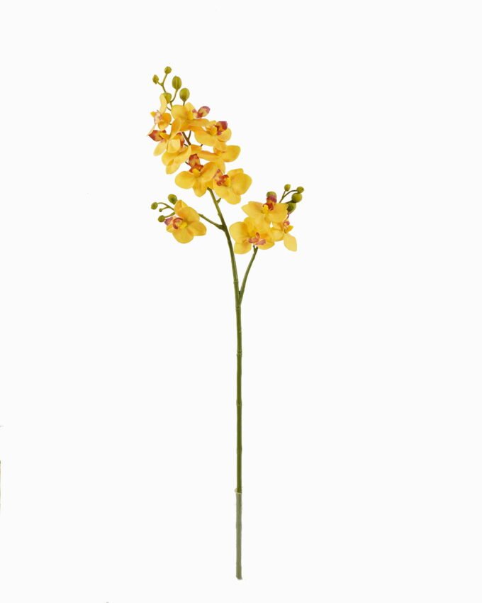 Artificial Flower 16*16*73cm Phalaenopsis aphrodite *3 single stem GS-79825005 2025SEP YeahFlower is one of Chinese leading OEM manufacturers and exporters , supplying the silk flowers, wholesale artificial trees