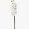 Artificial Flower 9*9*57cm Phalaenopsis aphrodite single stem GS-79825006-W2 2025SEP YeahFlower is one of Chinese leading OEM manufacturers and exporters , supplying the silk flowers, wholesale artificial trees
