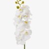 Artificial Flower 9*9*57cm Phalaenopsis aphrodite single stem GS-79825006-W2 2025SEP YeahFlower is one of Chinese leading OEM manufacturers and exporters , supplying the silk flowers, wholesale artificial trees