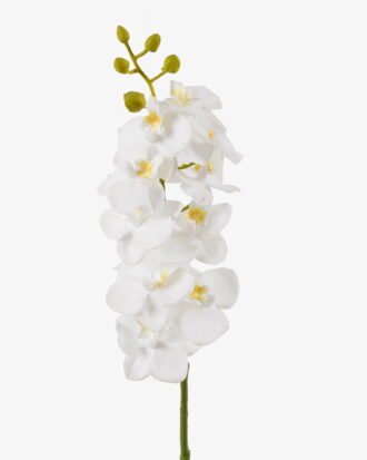 Artificial Flower 9*9*57cm Phalaenopsis aphrodite single stem GS-79825006-W2 2025SEP YeahFlower is one of Chinese leading OEM manufacturers and exporters , supplying the silk flowers, wholesale artificial trees Artificial Flower 9*9*57cm Phalaenopsis aphrodite single stem GS-79825006-W2 2025SEP YeahFlower is one of Chinese leading OEM manufacturers and exporters , supplying the silk flowers, wholesale artificial trees
