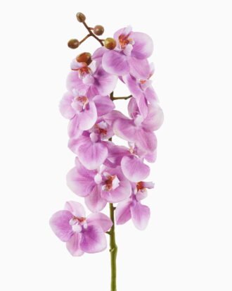 Artificial Flower 9*9*57cm Phalaenopsis aphrodite single stem GS-79825006-Z1 2025SEP YeahFlower is one of Chinese leading OEM manufacturers and exporters , supplying the silk flowers, wholesale artificial trees Artificial Flower 9*9*57cm Phalaenopsis aphrodite single stem GS-79825006-Z1 2025SEP YeahFlower is one of Chinese leading OEM manufacturers and exporters , supplying the silk flowers, wholesale artificial trees