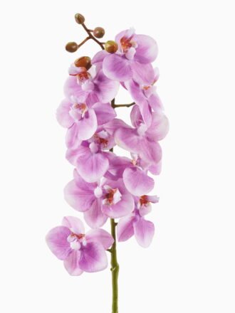 Artificial Flower 18*18*28cm  Lavender in PP pot GS-79925001 2025SEP 3,000+ sqm showroom with thousands of artificial flowers, plants & trees ready for global sourcing.