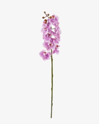 Artificial Flower 9*9*57cm Phalaenopsis aphrodite single stem GS-79825006-Z1 2025SEP YeahFlower is one of Chinese leading OEM manufacturers and exporters , supplying the silk flowers, wholesale artificial trees Artificial Flower 9*9*57cm Phalaenopsis aphrodite single stem GS-79825006-Z1 2025SEP YeahFlower is one of Chinese leading OEM manufacturers and exporters , supplying the silk flowers, wholesale artificial trees