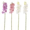 Artificial Flower 9*9*57cm Phalaenopsis aphrodite single stem GS-79825006 2025SEP YeahFlower is one of Chinese leading OEM manufacturers and exporters , supplying the silk flowers, wholesale artificial trees