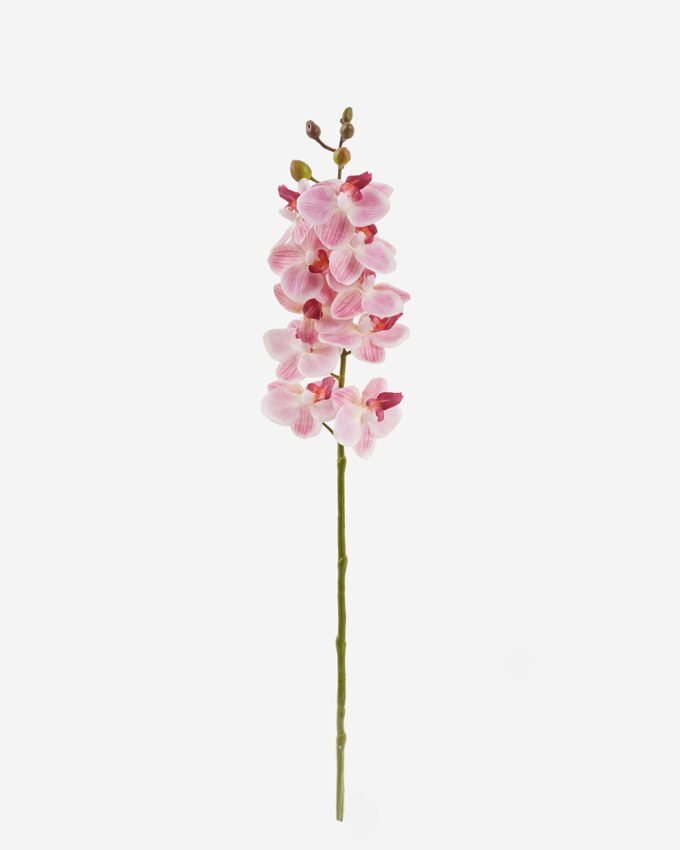 Artificial Flower 9*9*57cm Phalaenopsis aphrodite single stem GS-79825006 2025SEP YeahFlower is one of Chinese leading OEM manufacturers and exporters , supplying the silk flowers, wholesale artificial trees
