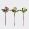 Artificial Flower Protea cynaroides single stem GS-77125001 2025SEP YeahFlower is one of Chinese leading OEM manufacturers and exporters , supplying the silk flowers, wholesale artificial trees