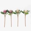 Artificial Flower Protea cynaroides single stem GS-77125003_2 Artificial Flower Protea cynaroides single stem GS-77125003 2025SEP YeahFlower is one of Chinese leading OEM manufacturers and exporters , supplying the silk flowers, wholesale artificial trees