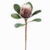 Artificial Flower Protea cynaroides single stem GS-77125003_4 Artificial Flower Protea cynaroides single stem GS-77125003 2025SEP YeahFlower is one of Chinese leading OEM manufacturers and exporters , supplying the silk flowers, wholesale artificial trees