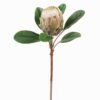Artificial Flower Protea cynaroides single stem GS-77125003_6 Artificial Flower Protea cynaroides single stem GS-77125003 2025SEP YeahFlower is one of Chinese leading OEM manufacturers and exporters , supplying the silk flowers, wholesale artificial trees