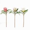 Artificial Flower Protea cynaroides single stem GS-77125004 2025SEP YeahFlower is one of Chinese leading OEM manufacturers and exporters , supplying the silk flowers, wholesale artificial trees