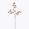 Artificial Flower Raspberry single stem GS-54025025_5 Artificial Flower 20*20*78cm Raspberry single stem GS-54025025 2025AUG YeahFlower is one of Chinese leading OEM manufacturers and exporters , supplying the silk flowers, wholesale artificial trees