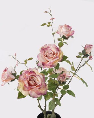 Artificial Flower 54*54*74cm Rose in PP pot GS-15425002 2025JUL YeahFlower is one of Chinese leading OEM manufacturers and exporters , supplying the silk flowers, wholesale artificial trees Artificial Flower 54*54*74cm Rose in PP pot GS-15425002 2025JUL YeahFlower is one of Chinese leading OEM manufacturers and exporters , supplying the silk flowers, wholesale artificial trees
