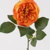 Artificial Flower Rose single stem GS-14525005-O2_2 Artificial Flower 12*12*64cm Rose single stem GS-14525005-O2 2025JUL YeahFlower is one of Chinese leading OEM manufacturers and exporters , supplying the silk flowers, wholesale artificial trees