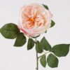 Artificial Flower 12*12*64cm Rose single stem GS-14525005-P1 2025JUL YeahFlower is one of Chinese leading OEM manufacturers and exporters , supplying the silk flowers, wholesale artificial trees