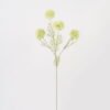 Artificial Flower Scallion ball 4 single stem GS-71625002_5 Artificial Flower 20*20*78cm Scallion ball *4 single stem GS-71625002 2025SEP YeahFlower is one of Chinese leading OEM manufacturers and exporters , supplying the silk flowers, wholesale artificial trees