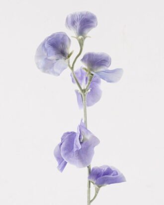 Artificial Flower 6*6*64 Sweet Pea Flowers single stem GS-17725029-B2 2025JUL YeahFlower is one of Chinese leading OEM manufacturers and exporters , supplying the silk flowers, wholesale artificial trees